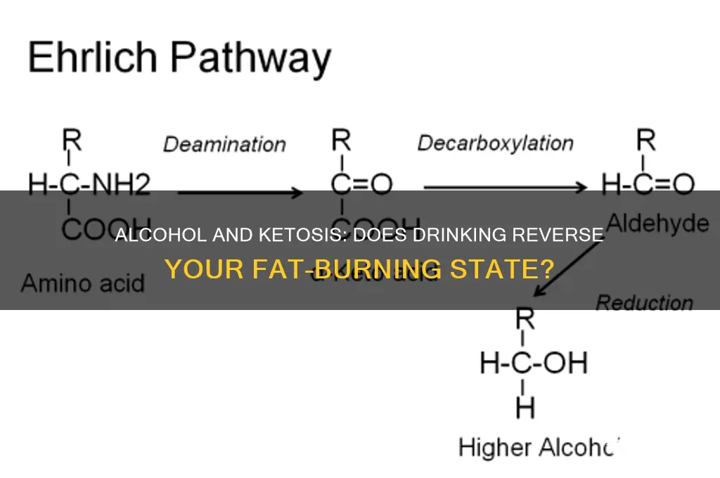 does alcohol reverse ketosis