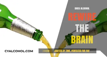 Unveiling the Truth: Alcohol's Profound Impact on Brain Function