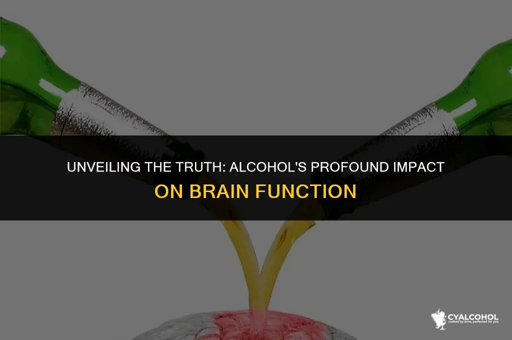 does alcohol rewire the brain
