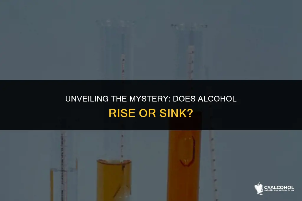 does alcohol rise or sink