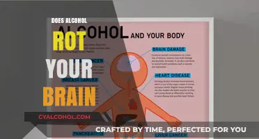 The Sobering Truth: Alcohol's Impact on Brain Health Revealed