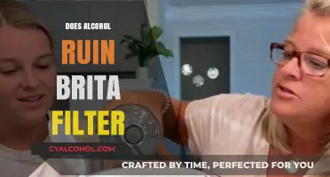 The Truth About Alcohol and Brita Filters: Does It Ruin Them?
