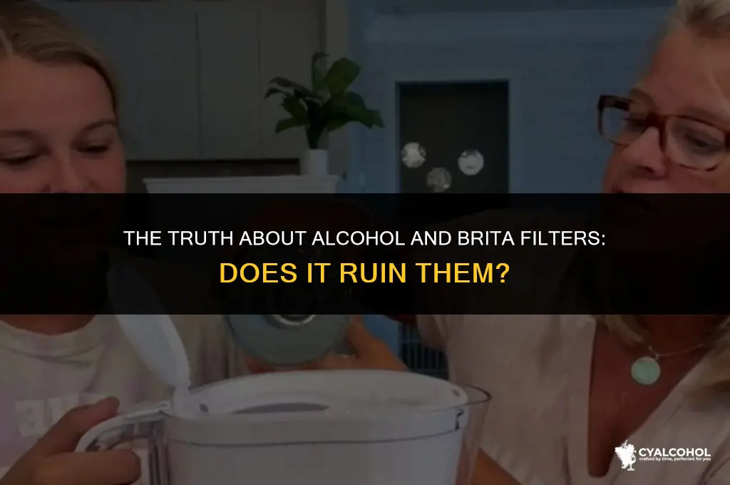 does alcohol ruin brita filter