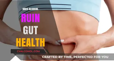 The Sobering Truth: Alcohol's Impact on Gut Health Revealed