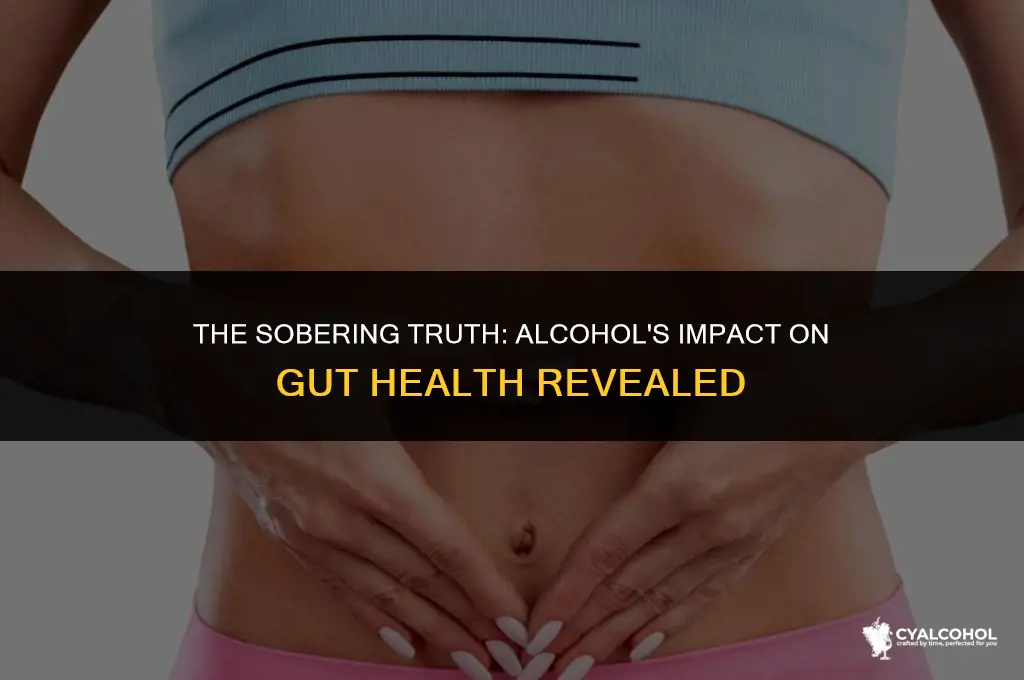 does alcohol ruin gut health