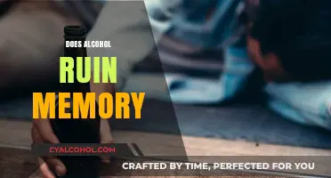 Alcohol's Impact on Memory: Uncovering the Truth Behind the Fog