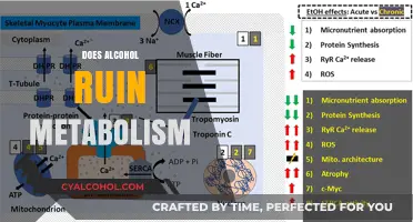Alcohol's Impact on Metabolism: Does Drinking Disrupt Your Body's Efficiency?