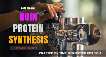 Unraveling the Truth: Alcohol's Impact on Protein Synthesis Explained