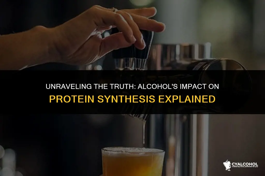 does alcohol ruin protein synthesis