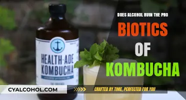 Alcohol in Kombucha: Does It Destroy Its Probiotic Benefits?