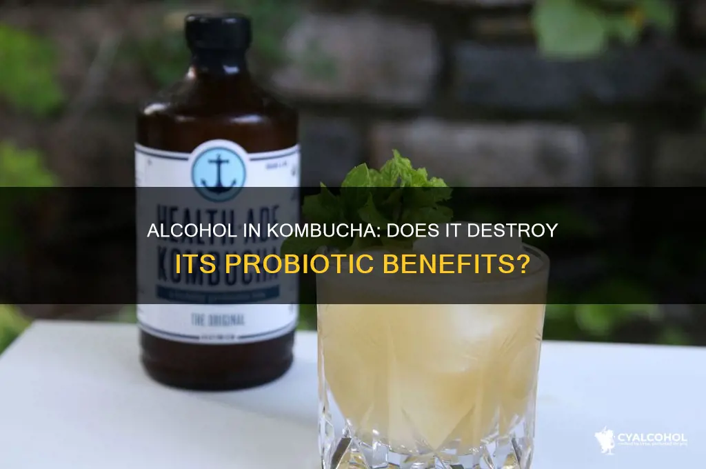 does alcohol ruin the pro biotics of kombucha
