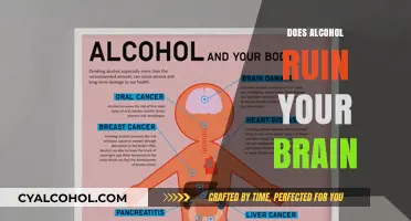 The Sobering Truth: Alcohol's Impact on Brain Health Explored
