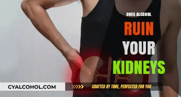 Alcohol and Kidney Health: Uncovering the Risks and Long-Term Effects