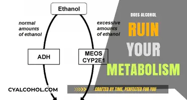 The Sober Truth: Alcohol's Surprising Impact on Your Metabolism