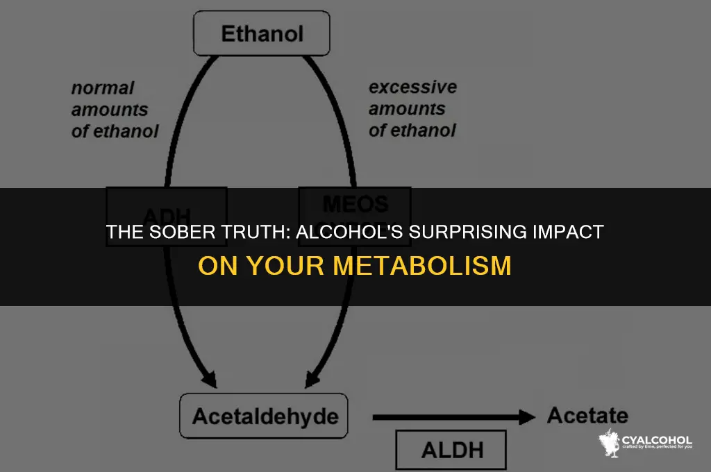 does alcohol ruin your metabolism