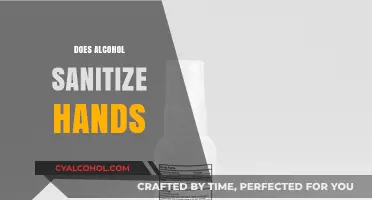 Alcohol as Hand Sanitizer: Effectiveness, Myths, and Safe Usage Tips