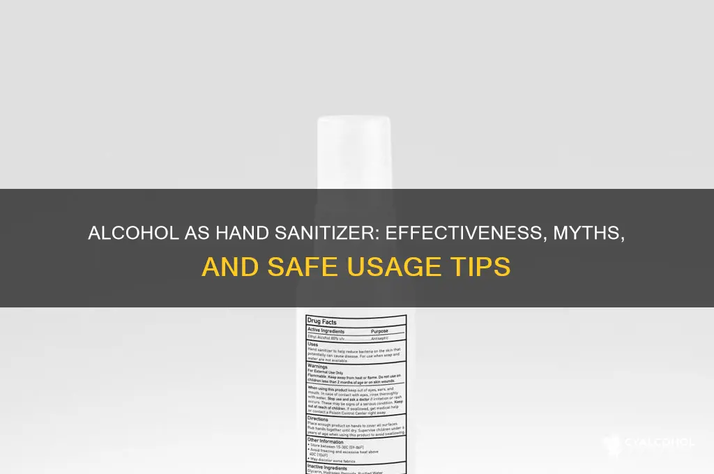 does alcohol sanitize hands