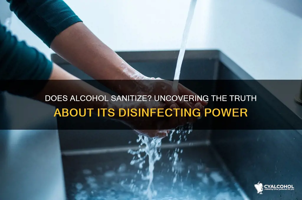 does alcohol saniztize