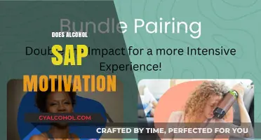 Alcohol and Motivation: Unraveling the Impact on Drive and Productivity