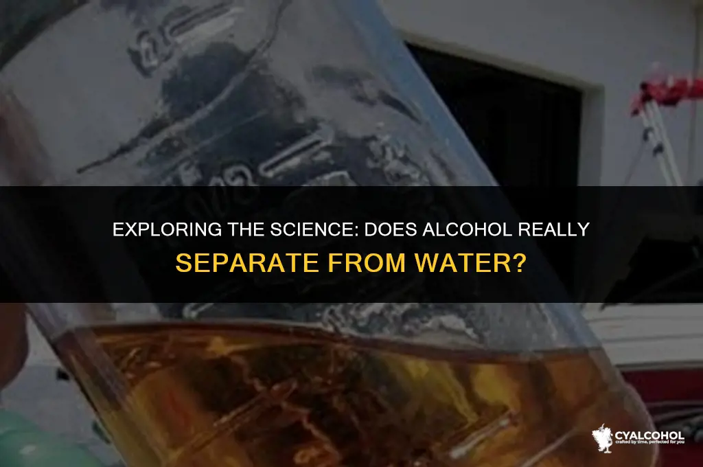does alcohol separate from water