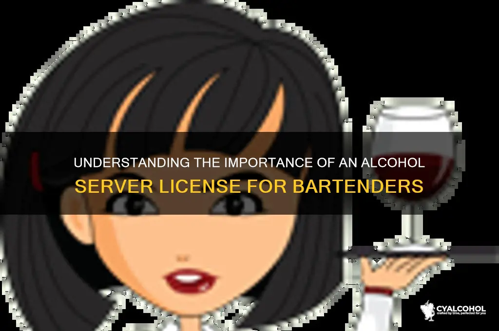 does alcohol servers license