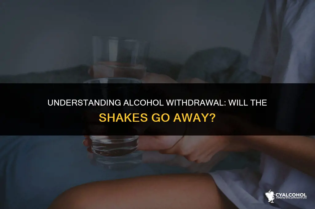 does alcohol shakes go away