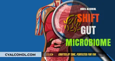 Exploring the Impact of Alcohol on Your Gut Microbiome
