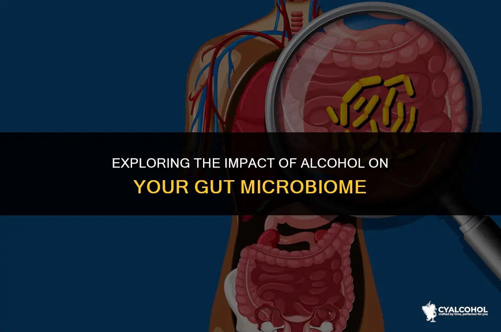 does alcohol shift gut microbiome