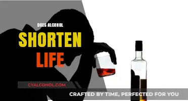 Alcohol's Impact: How Drinking Affects Longevity and Shortens Life