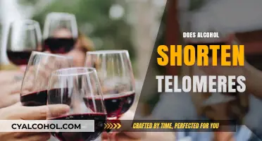 Alcohol and Aging: How Drinking Impacts Telomere Length and Health