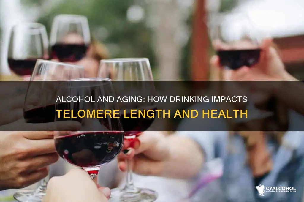 does alcohol shorten telomeres