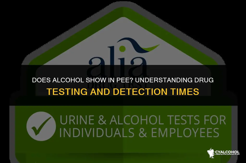 does alcohol show in pee