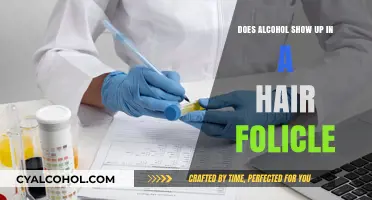 Does Alcohol Show Up in Hair Follicle Tests? Facts Revealed