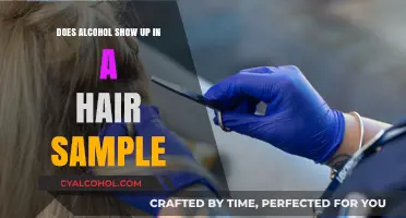 Does Alcohol Appear in Hair Follicle Tests? Facts and Insights