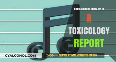 Does Alcohol Appear in Toxicology Reports? Facts and Insights