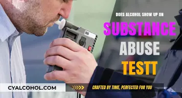 Does Alcohol Appear in Substance Abuse Tests? Key Facts Revealed