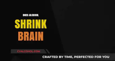 Alcohol's Impact: Does Drinking Shrink Your Brain Over Time?