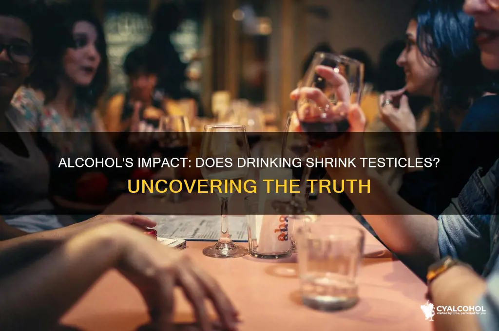 does alcohol shrink testicles