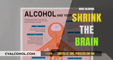 Exploring the Effects of Alcohol on Brain Health: A Comprehensive Guide