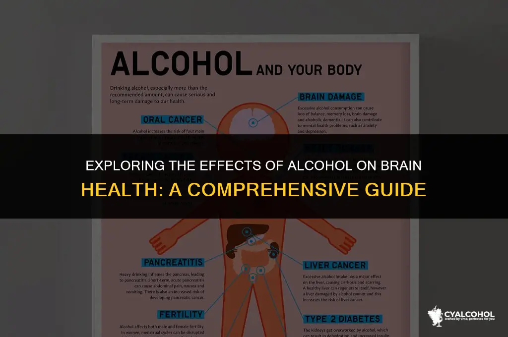 does alcohol shrink the brain