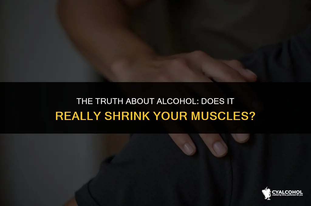 does alcohol shrink your muscles