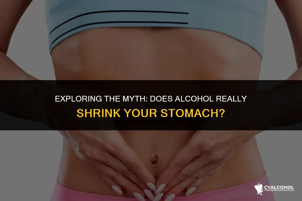 does alcohol shrink your stomach