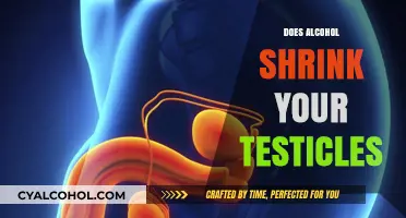 The Sober Truth: Alcohol's Impact on Testicular Health