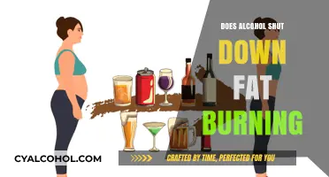 Alcohol and Fat Burning: Does Drinking Halt Weight Loss?