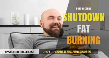 Unveiling the Truth: Alcohol's Impact on Fat Burning Explained