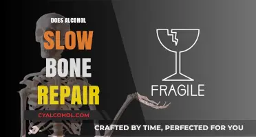 The Impact of Alcohol on Bone Repair: What You Need to Know