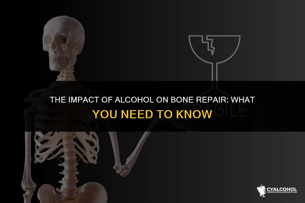 does alcohol slow bone repair