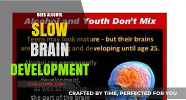 Unveiling the Truth: Alcohol's Impact on Brain Development