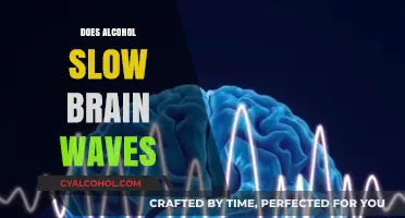 Exploring the Effects of Alcohol on Brain Wave Activity