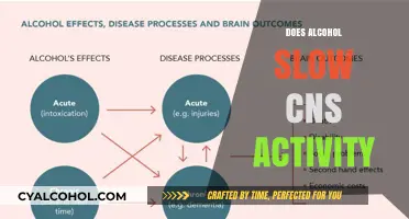 Unveiling the Effects: How Alcohol Influences CNS Activity